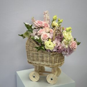 Welcome baby stroller
